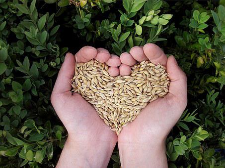 aliments qui soutiennent le foie et la vésicule biliaire